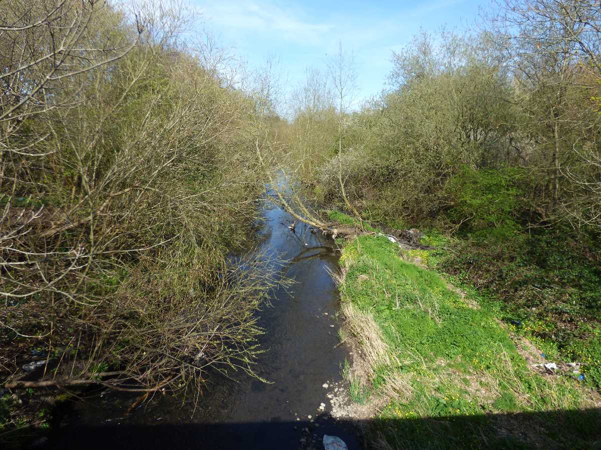 River Cole Bordesley Green East
